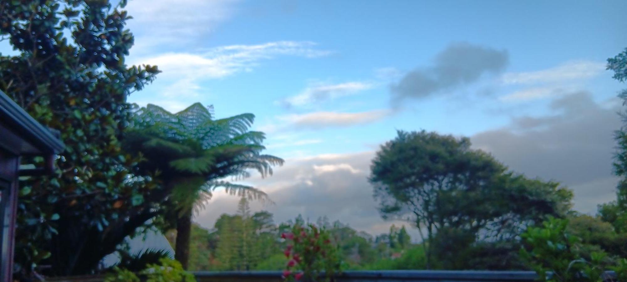 Tastebuds Bed N Breakfast Auckland Exterior photo
