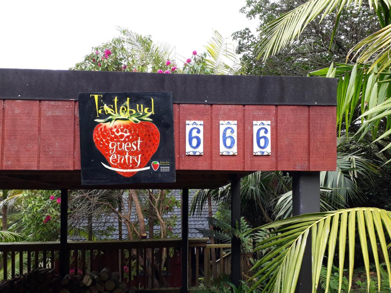 Tastebuds Bed N Breakfast Auckland Exterior photo